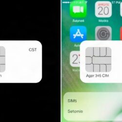 Настройка двух SIM-карт на iPhone: как удобно разделить звонки, интернет и личные дела